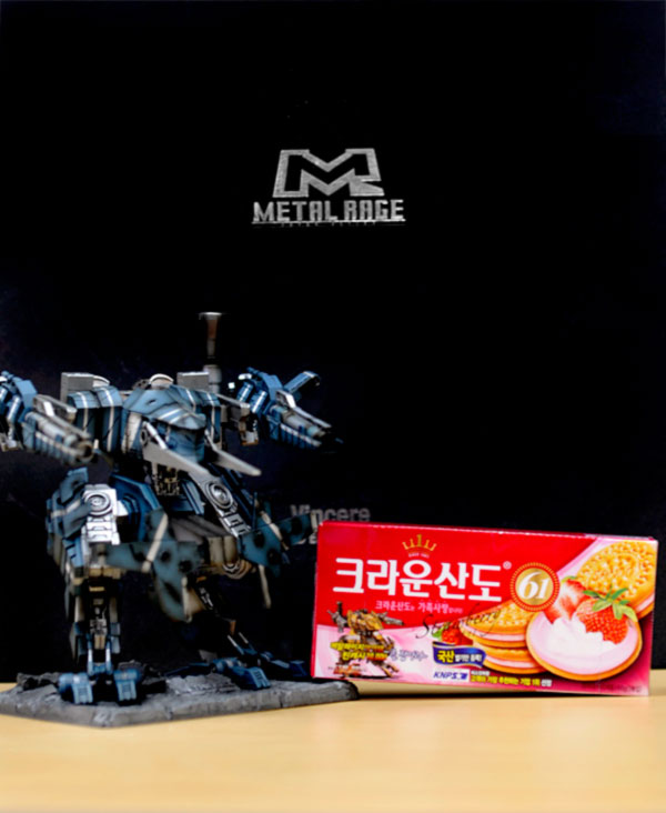 레이지수 이미지